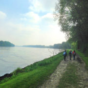 GuSp-Wanderung entlang der Donau